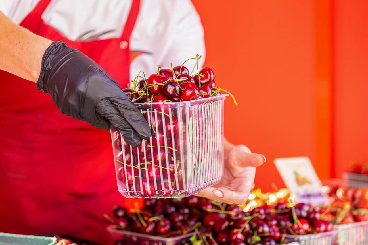 Семейная ягодная ферма: путь от первого куста до процветающего хозяйства - 2