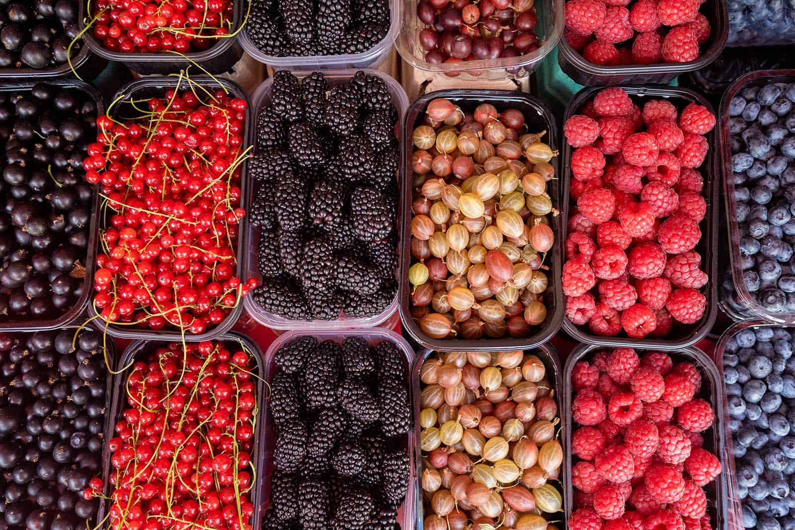 Семейная ягодная ферма: путь от посадки до прилавка - 1